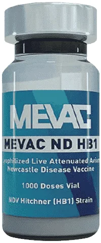 Mevac ND HB1 — صورة عبوة المنتج البيطري