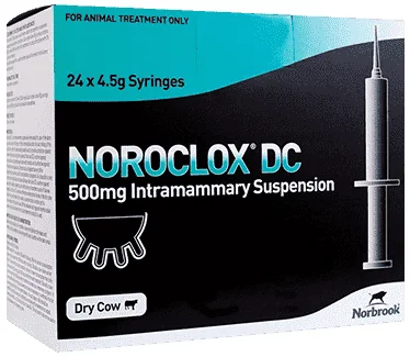 Noroclox DC — صورة عبوة المنتج البيطري